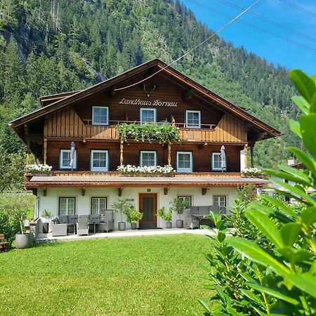 Landhaus Dornau Apartments 迈尔霍芬 外观 照片